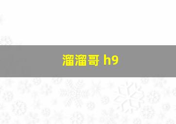 溜溜哥 h9